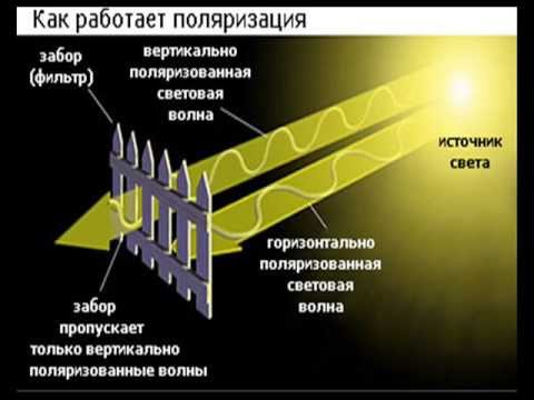 Как правильно выбрать очки для водителя Как правильно выбрать очки для водителя