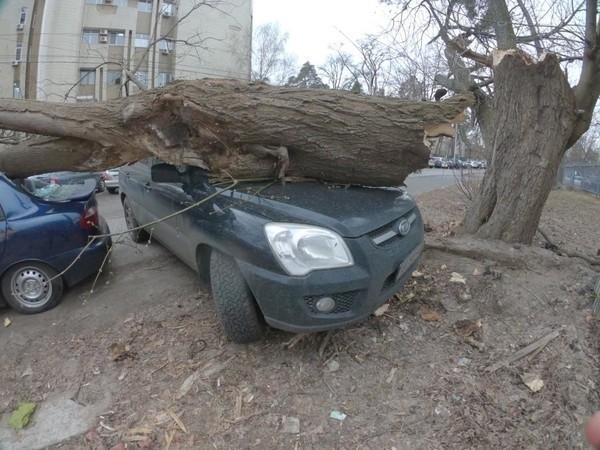 Как уберечь автомобиль в ветреную погоду - ТОП-5 правил