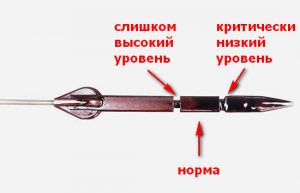 Уровень масла в двигателе повышен: почему так происходит