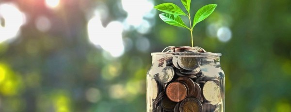 Госдума решила расширить систему страхования вкладов