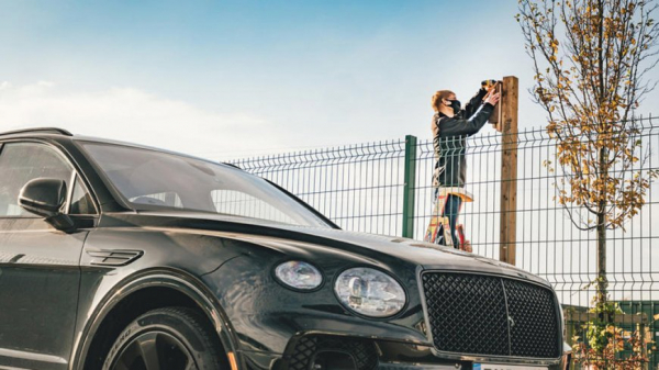 Компания Bentley представила собственные скворечники