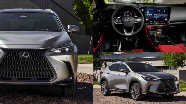 В России стартовали продажи Lexus NX нового поколения