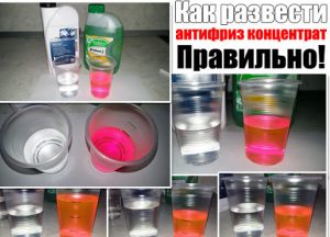 Как развести концентрат антифриза правильно