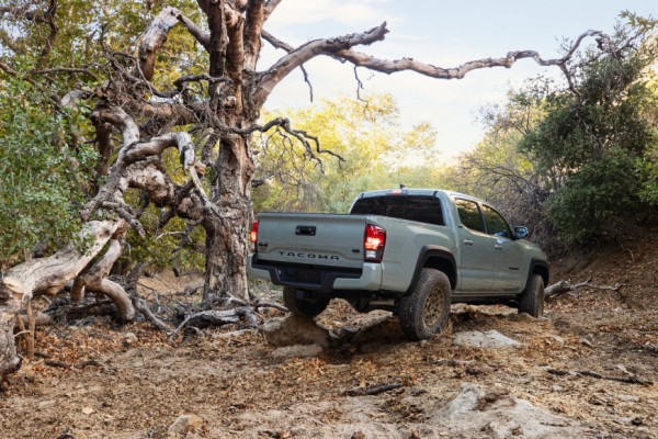 Пикап Toyota Tacoma и кроссовер RAV4 стали участниками отзывной кампании